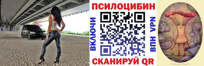 Галлюциногенные грибы Psilocybe  Камешково 